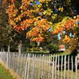 org:/landingpages/winnaars DK NO SE/13e-prize-scandinavie.jpg